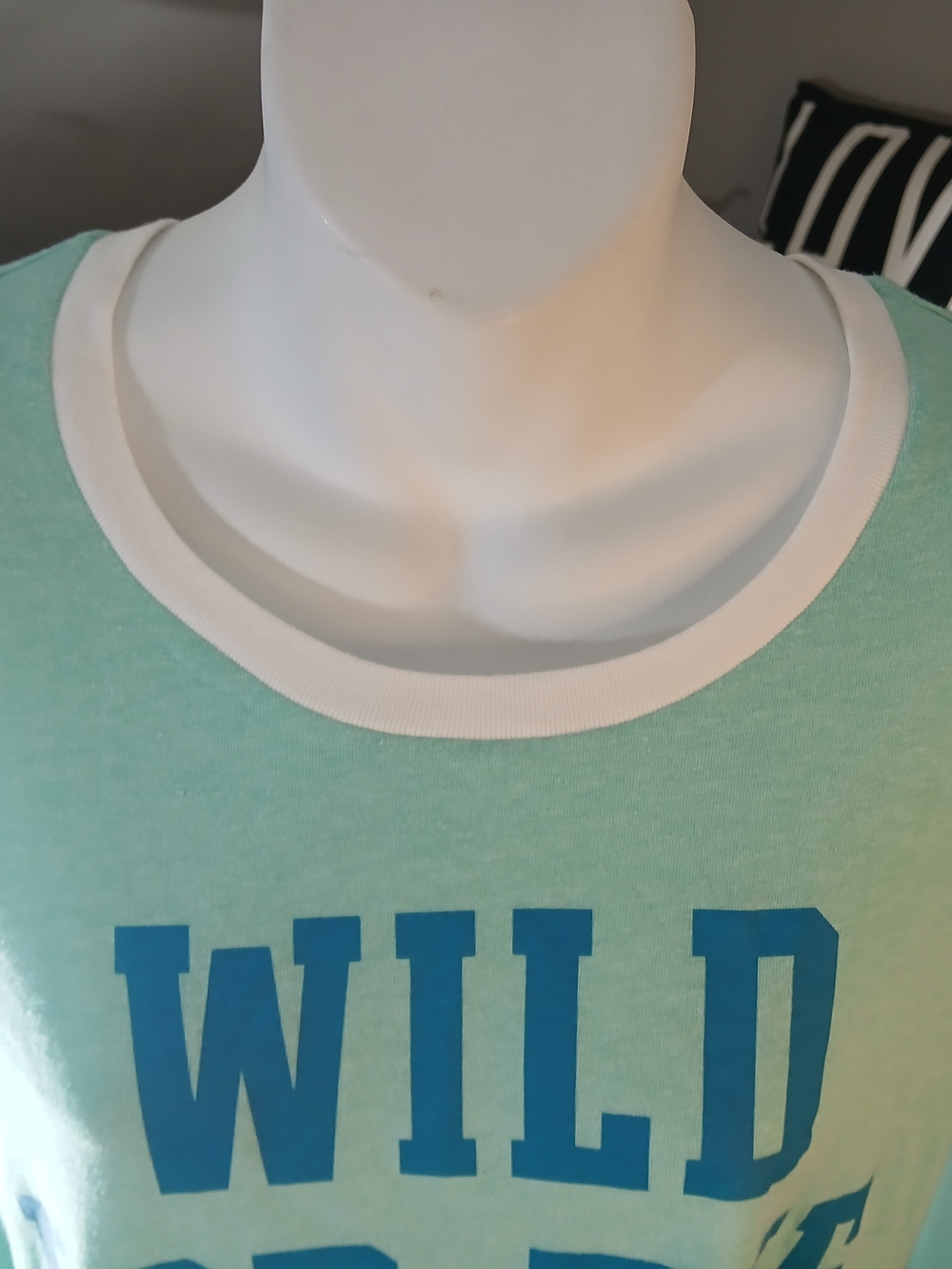 PINK Victoria's Secret Mint Green & Blue Graphic Long Sleep Tee XS New Condition - Picture 2 of 12